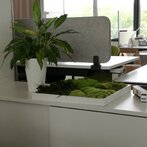 The Biophilia and nature materials and finishes creat very nice and comfortable space.